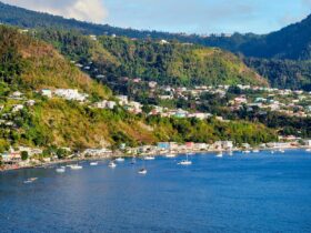 The island of Dominica